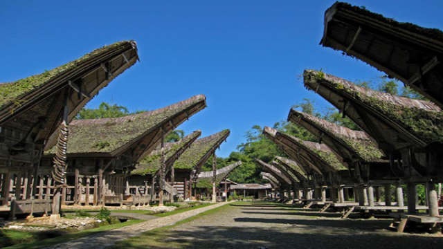 Pesona Budaya Kampung Adat Sillanan: Warisan Leluhur di Tanah Toraja